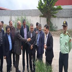/news/25/رئیس-سازمان-پزشکی-قانونی-کشاورزان-و-صنعتگران-
