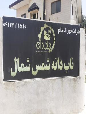  ناب دانه شمس شمال